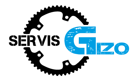 Servis Gizo